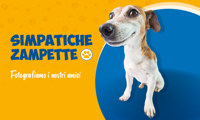 Fotografiamo i nostri amici animali