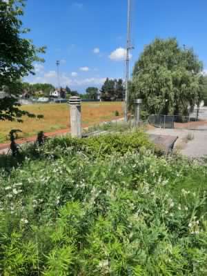 Nessuno vuole gestire il campo sportivo: il bando del Comune è andato deserto
