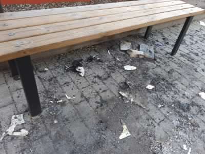 Bruciati i libri del bookcrossing nell’area verde del centro: gesto spregevole e senza alcun senso