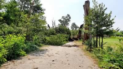 Il parco La Mandria riapre in parte, ma i danni sono davvero ingenti