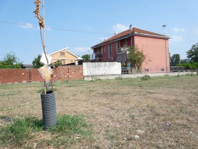 Non solo Po in secca, gli effetti della siccità  «investono» anche il verde pubblico cittadino