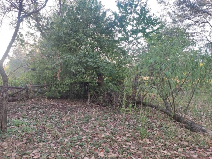 Maugeri: «Parco Castelverde in uno stato di degrado»