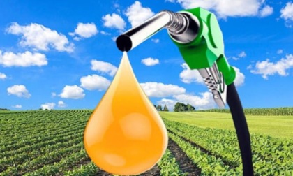 Biocarburanti: perché non convengono?