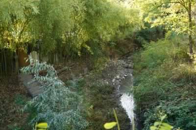 Monitoraggi e interventi per i rii del territorio