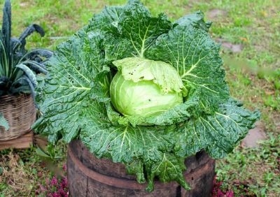 Cosa fare a Settimo e dintorni nel weekend: gli appuntamenti di sabato 19 e domenica 20 novembre 2022