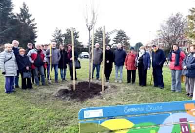 Un «prunus» per ricordare la storica Teresina Bruno