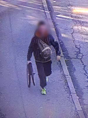 Le telecamere? Funzionano, beccato un ladro di bici