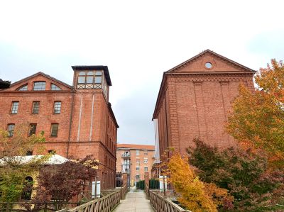 Cosa fare a Settimo nel fine settimana: gli appuntamenti di sabato 14 e domenica 15 gennaio 2023