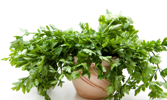 Questa settimana in regalo i semi di prezzemolo con La Nuova Periferia di Settimo