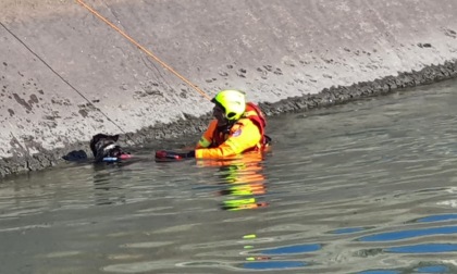 Vigili del Fuoco salvano cane nel canale