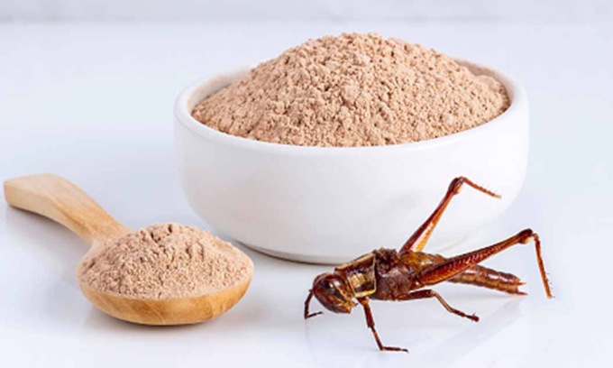 Farine a base di insetti? Coldiretti Torino non ci sta