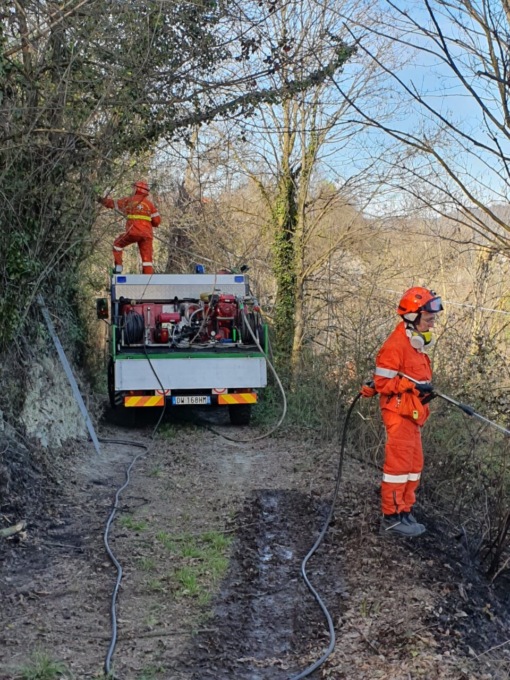 Incendio in un bosco in collina, intervengono Vigili del Fuoco e Aib