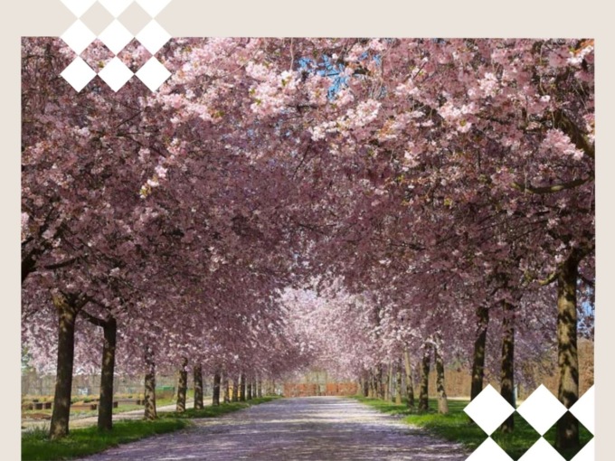 Cosa fare a Settimo e dintorni nel fine settimana: gli eventi del 25 e 26 marzo