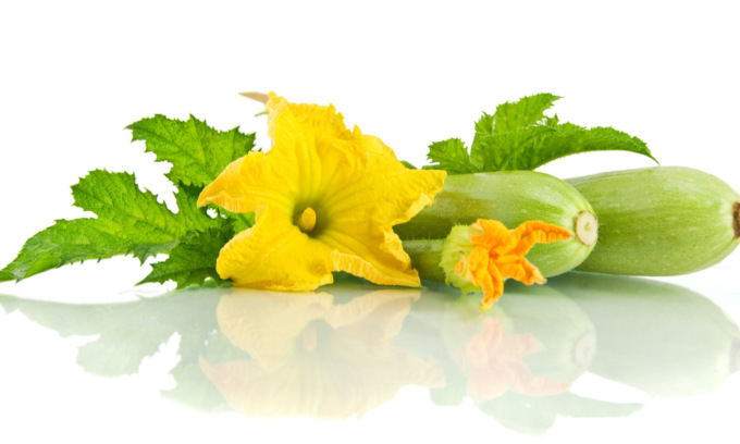 In regalo con La Nuova Periferia di Settimo i semi di zucchina bianca