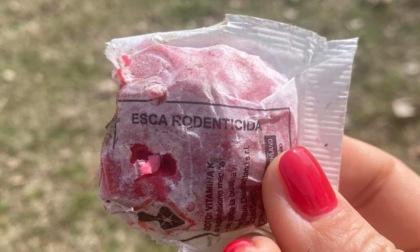 Attenzione: pastiglie velenose nel prato del parco a San Mauro