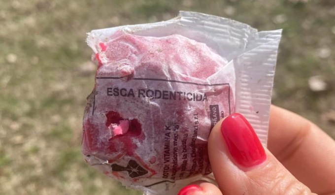 Attenzione: pastiglie velenose nel prato del parco a San Mauro