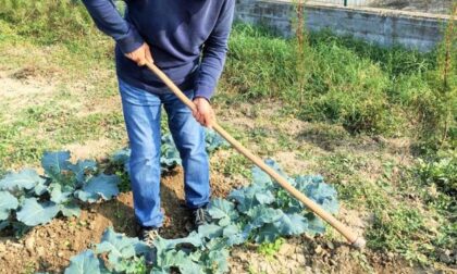 Alloggi provvisori per i lavoratori stagionali: dalla Regione 108mila euro ai comuni piemontesi