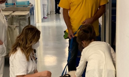 La Pet-therapy come strumento di cura domiciliare