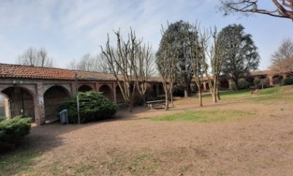 Castiglione, aree pubbliche chiuse durante gli interventi di manutenzione del verde