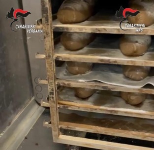 Panificio degli orrori: colombe, impasti e farine invasi dalle blatte