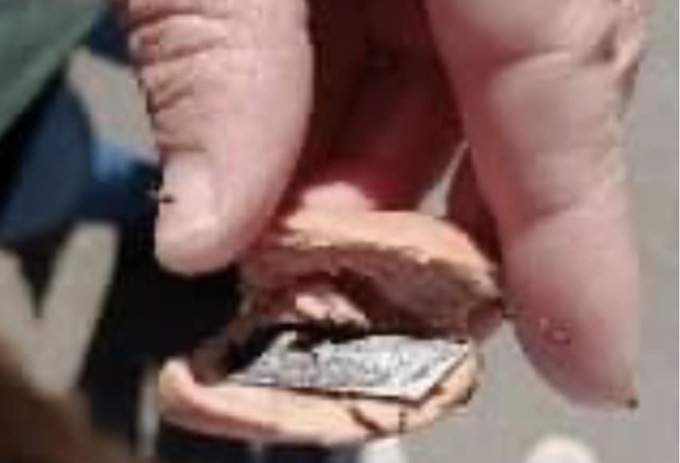 Bocconi killer per i cani a Settimo: lamette nascoste nei wurstel