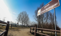 Raddoppia il parco Berlinguer: sarà un polmone verde per i settimesi