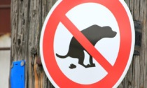 Deiezioni non raccolte e cani senza guinzaglio: a Settimo multati 14 padroni incivili