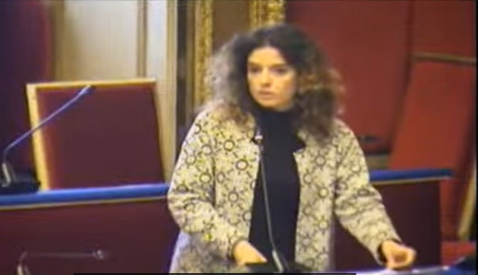 Linea 8: “I sanmauresi magari dovranno cambiare linea, come fanno tantissimi torinesi”