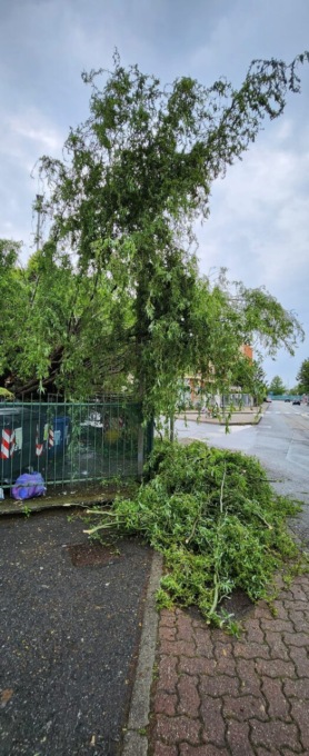 Tour della Lega tra i danni del maltempo: “Servono prevenzione e manutenzioni”