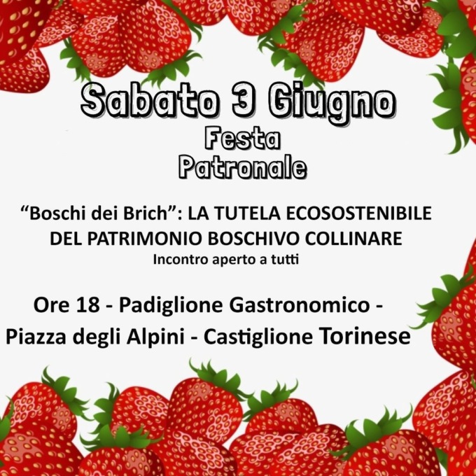 Atteso appuntamento per parlare del patrimonio boschivo collinare