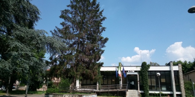 Appello di Legambiente: “Salviamo gli alberi di piazza degli Alpini”