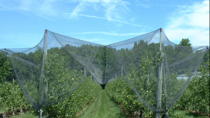 Dalla Regione Piemonte 3 milioni per reti antigrandine e impianti anti gelo