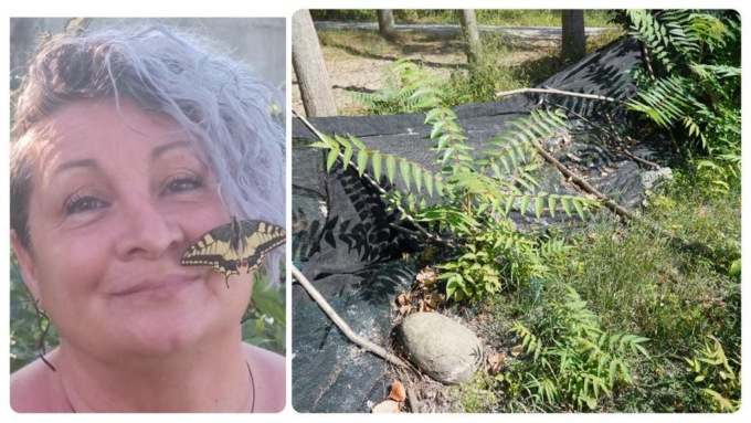 “In pochi giorni ho perso tutto: il mio progetto dedicato alle farfalle e il reddito di cittadinanza”