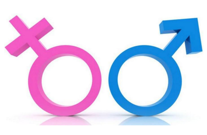 Il Piemonte pioniere della “medicina di genere”