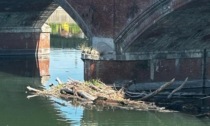 San Mauro: rimosso il legname che si era accumulato sotto il ponte