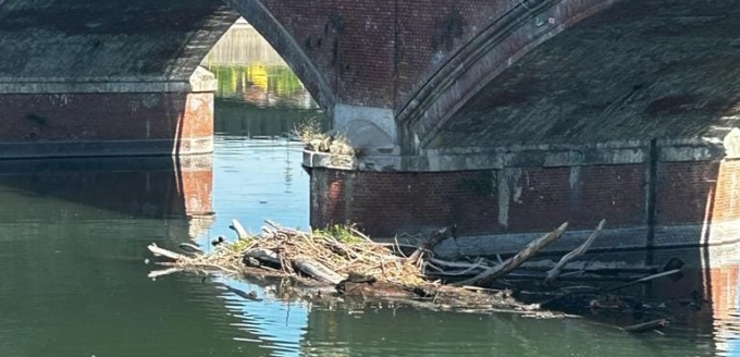 San Mauro: rimosso il legname che si era accumulato sotto il ponte