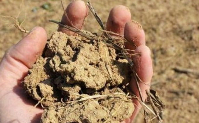 Terreno confiscato alla mafia: il Comune di Settimo si attiva per acquisirlo