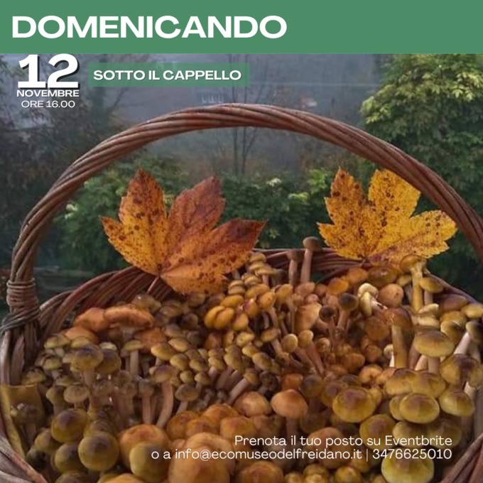 Cosa fare a Settimo e dintorni nel fine settimana: gli eventi dell’11 e 12 novembre