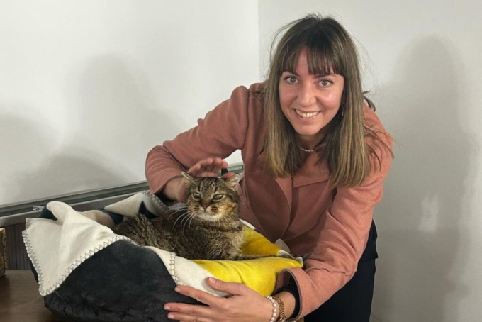 Il Comune di San Mauro ha accolto un “inquilino” speciale: è il gatto Churchill