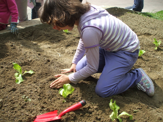 Settimana prossima la prima bustina con lo Zucchino tondo di Nizza