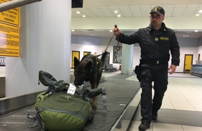 Controlli all’aeroporto di Torino: in un anno sequestrati 4,5 milioni