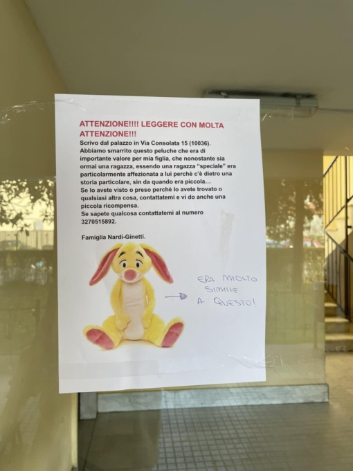 Si cerca un coniglietto: “Per mia figlia non è un semplice peluche”