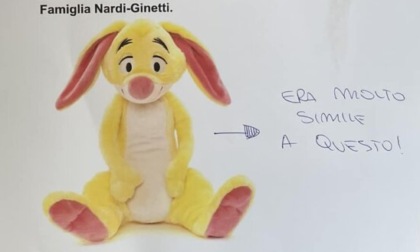 Si cerca un coniglietto: "Per mia figlia non è un semplice peluche"