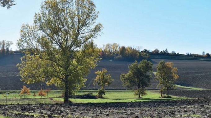 Lo “Sportello forestale itinerante” della Regione approda a Rivalba