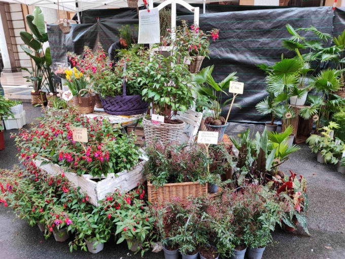 Al via sabato 30 marzo la quarta edizione di Floricola