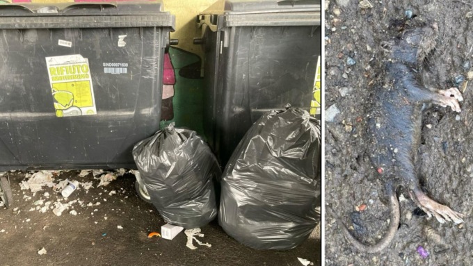 Al Villaggio Olimpia la spazzatura abbandonata attira i topi