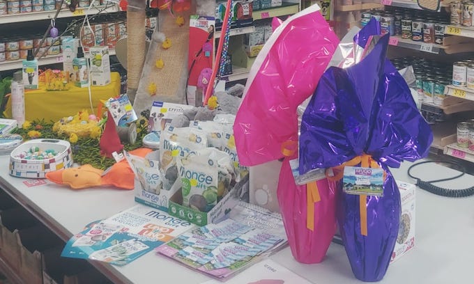 Primavera al Pelosauro: come affrontare la bella stagione