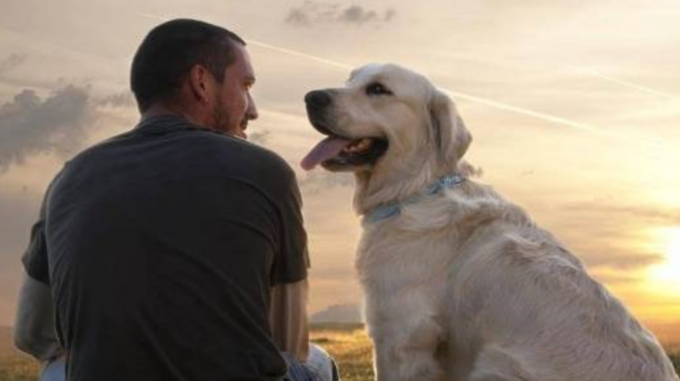 Ora le ceneri del proprio animale si potranno tumulare nella tomba del padrone