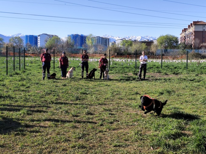 «Abbandono di deiezioni canine: via ai controlli»