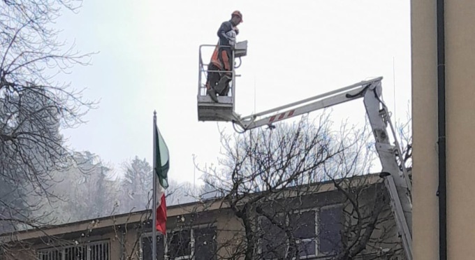 Albero caduto: ecco perché era tanto caro ai sanmauresi